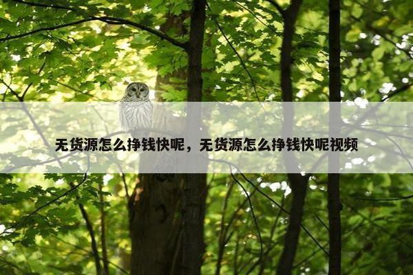 无货源怎么挣钱快呢，无货源怎么挣钱快呢视频