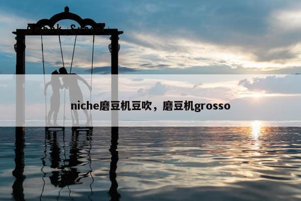 niche磨豆机豆吹，磨豆机grosso
