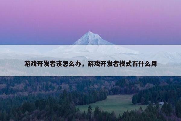 游戏开发者该怎么办，游戏开发者模式有什么用
