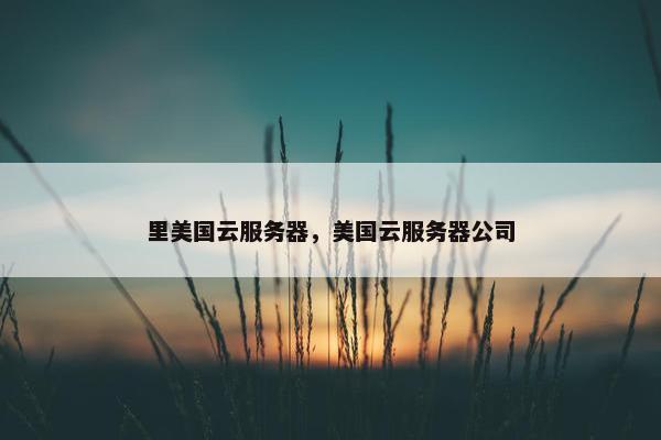里美国云服务器，美国云服务器公司