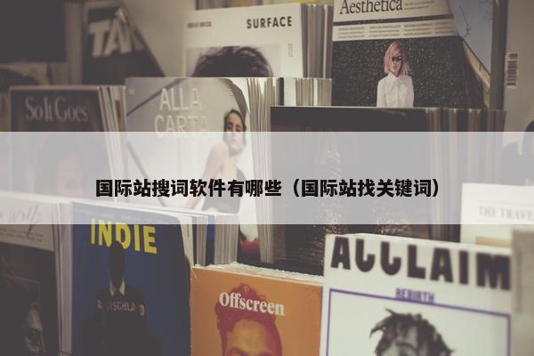 国际站搜词软件有哪些（国际站找关键词）