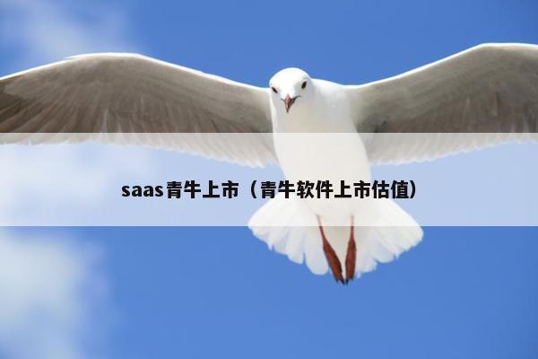 saas青牛上市（青牛软件上市估值）