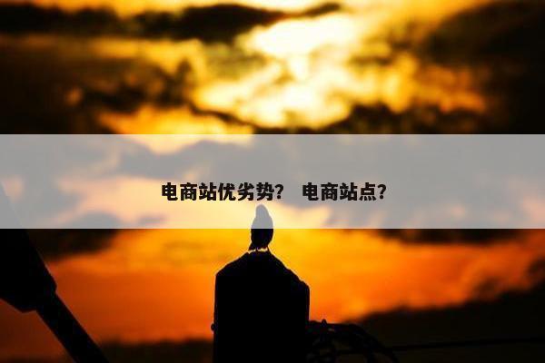 电商站优劣势？ 电商站点？