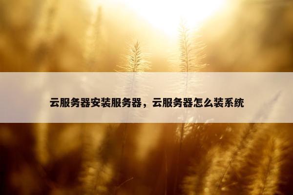 云服务器安装服务器，云服务器怎么装系统
