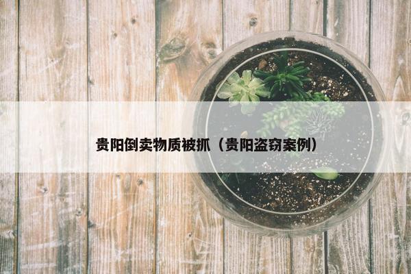 贵阳倒卖物质被抓（贵阳盗窃案例）