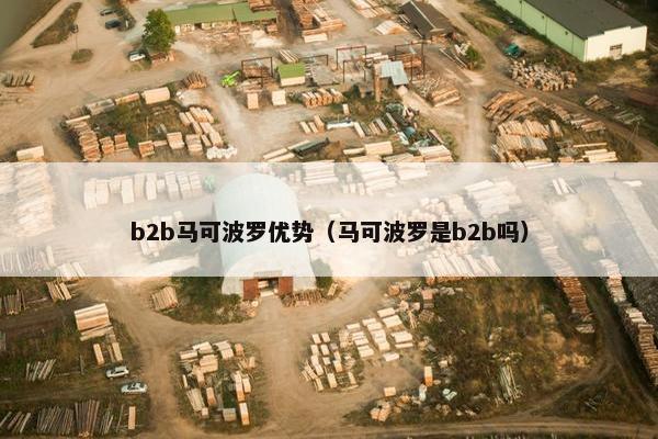 b2b马可波罗优势（马可波罗是b2b吗）