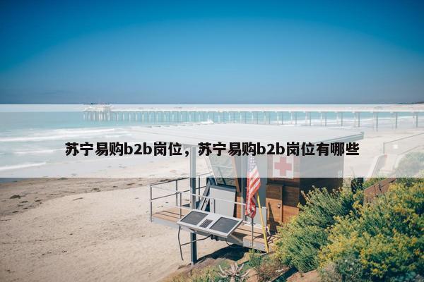 苏宁易购b2b岗位，苏宁易购b2b岗位有哪些