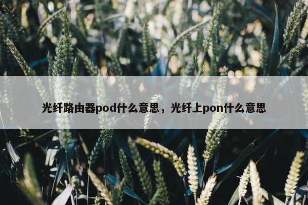光纤路由器pod什么意思，光纤上pon什么意思