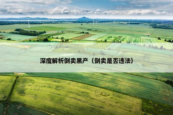 深度解析倒卖黑产（倒卖是否违法）