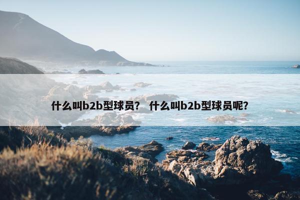 什么叫b2b型球员？ 什么叫b2b型球员呢？