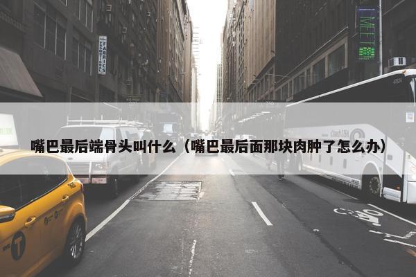 嘴巴最后端骨头叫什么（嘴巴最后面那块肉肿了怎么办）