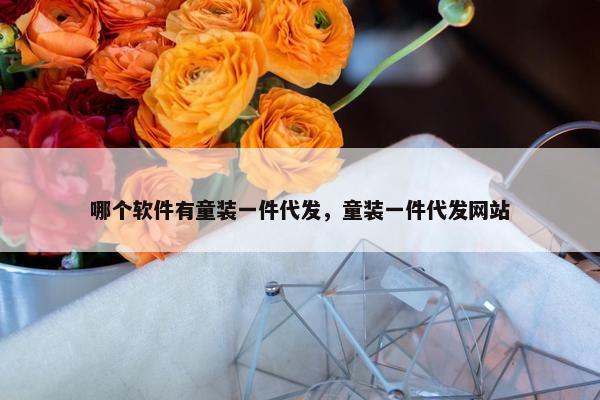 哪个软件有童装一件代发，童装一件代发网站