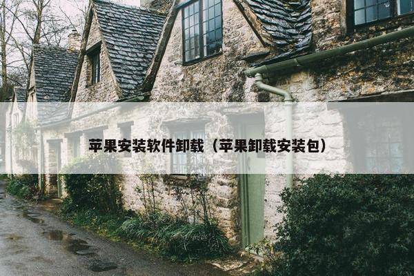 苹果安装软件卸载（苹果卸载安装包）