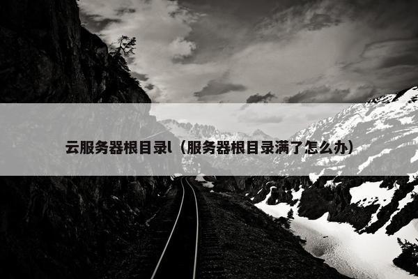 云服务器根目录l（服务器根目录满了怎么办）