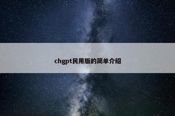 chgpt民用版的简单介绍