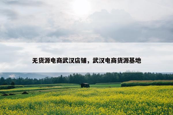 无货源电商武汉店铺，武汉电商货源基地
