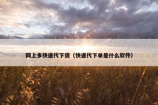网上多快递代下货（快递代下单是什么软件）