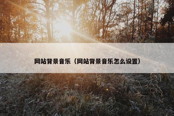 网站背景音乐（网站背景音乐怎么设置）