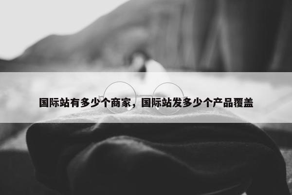 国际站有多少个商家，国际站发多少个产品覆盖