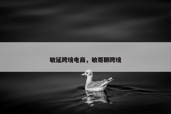 敏延跨境电商，敏哥聊跨境