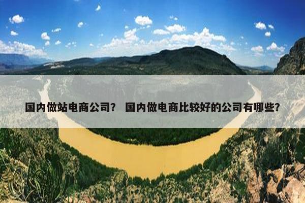 国内做站电商公司？ 国内做电商比较好的公司有哪些？