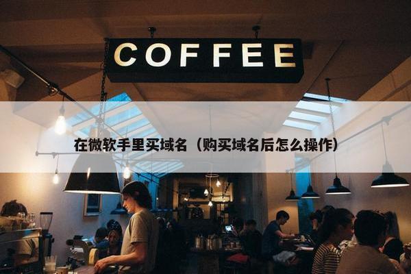 在微软手里买域名（购买域名后怎么操作）