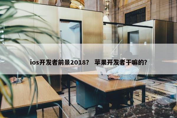 ios开发者前景2018？ 苹果开发者干嘛的？