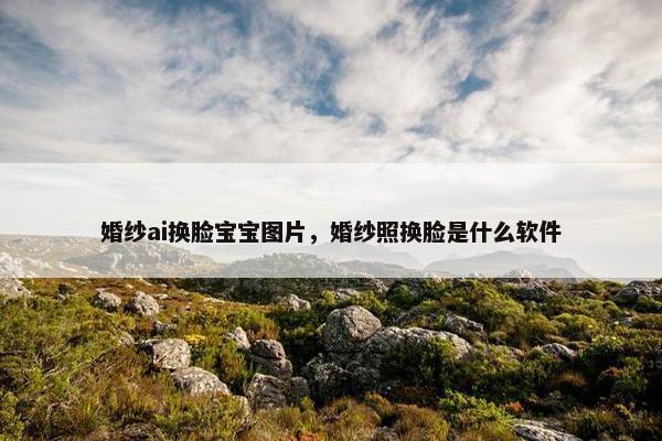 婚纱ai换脸宝宝图片，婚纱照换脸是什么软件