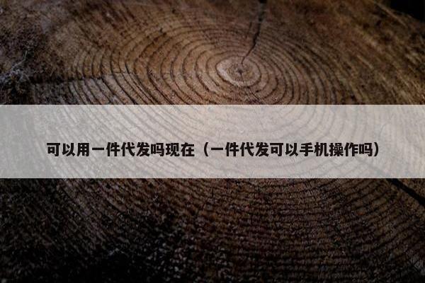 可以用一件代发吗现在（一件代发可以手机操作吗）