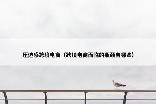 压迫感跨境电商（跨境电商面临的瓶颈有哪些）