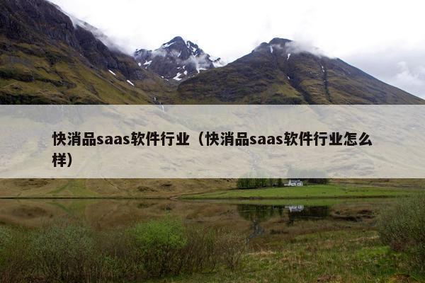 快消品saas软件行业（快消品saas软件行业怎么样）