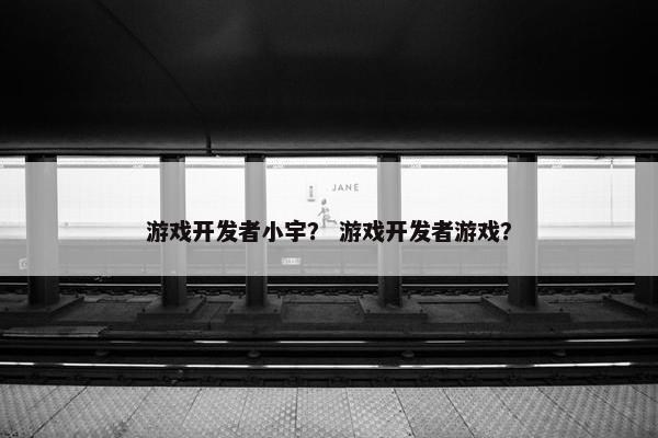 游戏开发者小宇？ 游戏开发者游戏？