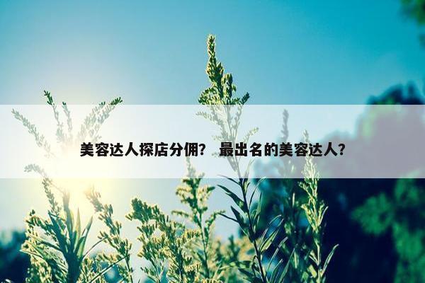 美容达人探店分佣？ 最出名的美容达人？