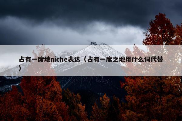 占有一席地niche表达（占有一席之地用什么词代替）