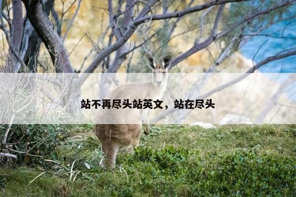 站不再尽头站英文，站在尽头