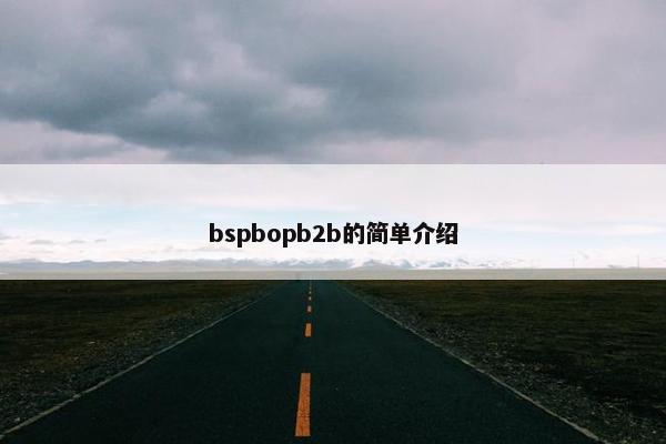bspbopb2b的简单介绍