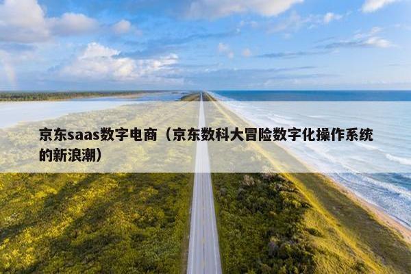 京东saas数字电商（京东数科大冒险数字化操作系统的新浪潮）