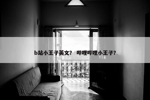 b站小王子英文？ 哔哩哔哩小王子？