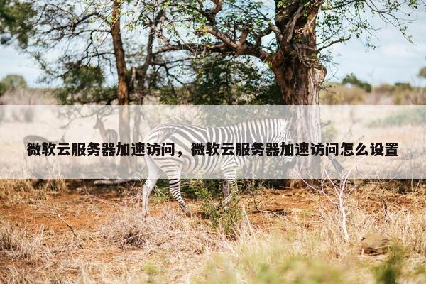微软云服务器加速访问，微软云服务器加速访问怎么设置