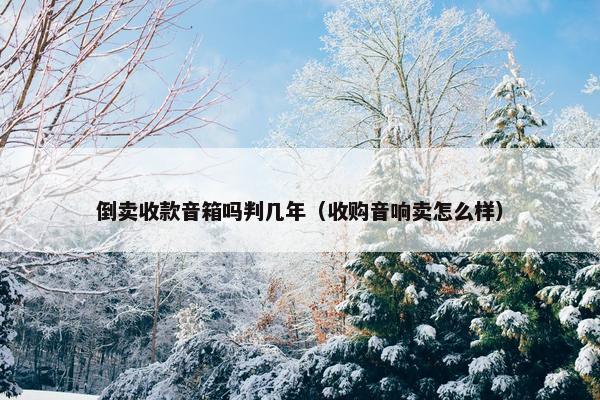 倒卖收款音箱吗判几年（收购音响卖怎么样）
