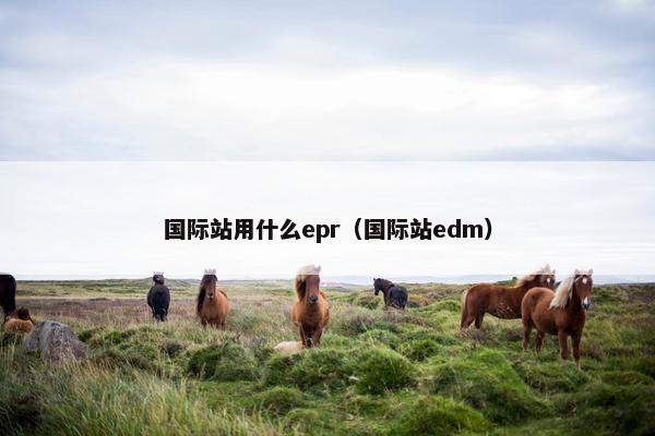 国际站用什么epr（国际站edm）