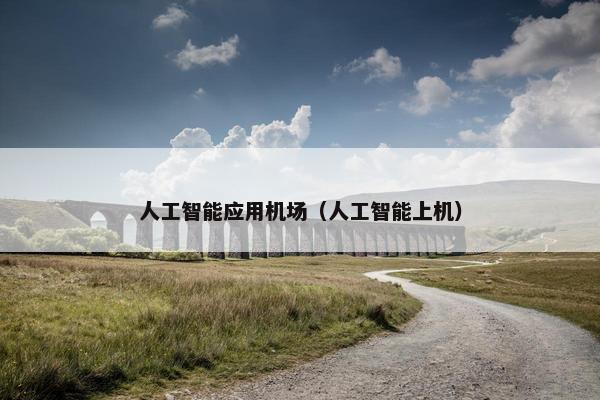 人工智能应用机场（人工智能上机）