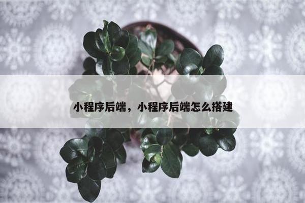 小程序后端，小程序后端怎么搭建