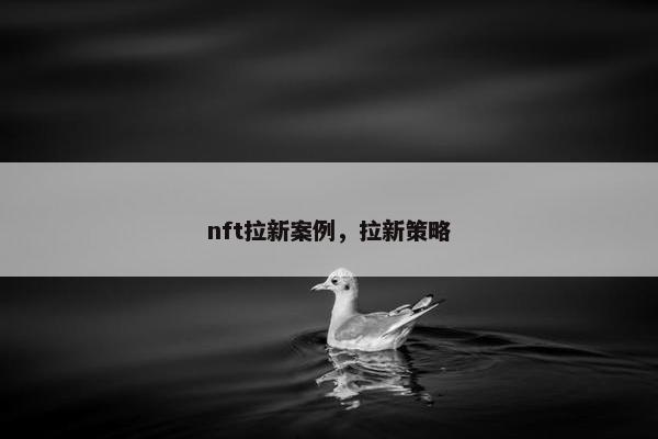 nft拉新案例，拉新策略