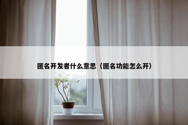 匿名开发者什么意思（匿名功能怎么开）