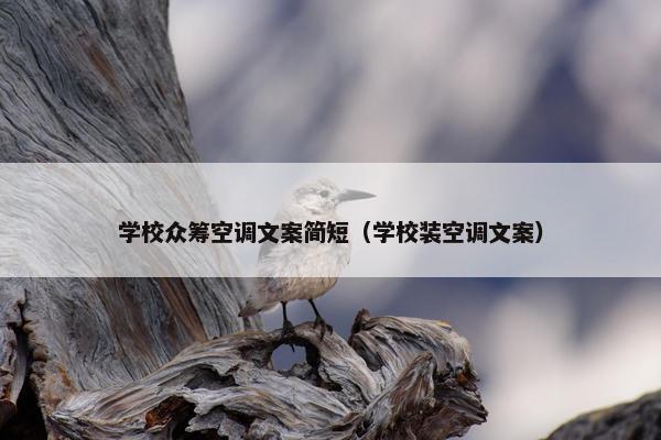 学校众筹空调文案简短（学校装空调文案）