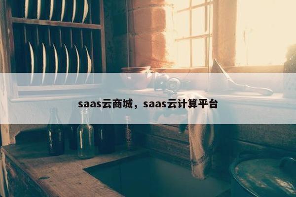 saas云商城，saas云计算平台