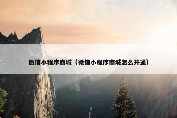 微信小程序商城（微信小程序商城怎么开通）