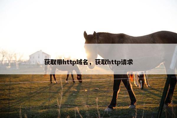获取带http域名，获取http请求