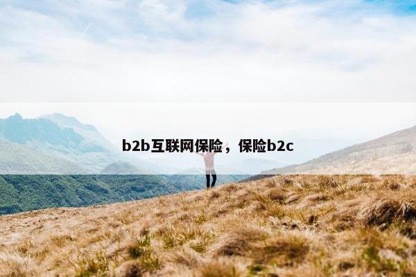b2b互联网保险，保险b2c